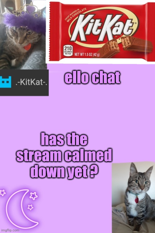 Kittys announcement template kitkat addition | ello chat; has the stream calmed down yet ? | image tagged in kittys announcement template kitkat addition | made w/ Imgflip meme maker