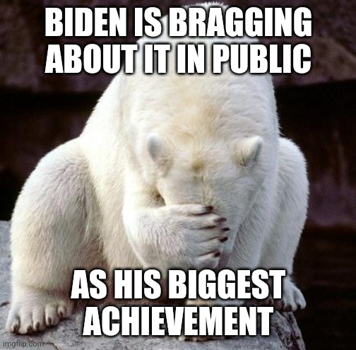 shame | BIDEN IS BRAGGING ABOUT IT IN PUBLIC AS HIS BIGGEST ACHIEVEMENT | image tagged in shame | made w/ Imgflip meme maker