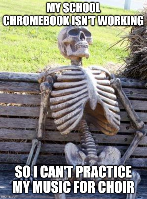 Waiting Skeleton | MY SCHOOL CHROMEBOOK ISN'T WORKING; SO I CAN'T PRACTICE MY MUSIC FOR CHOIR | image tagged in memes,waiting skeleton | made w/ Imgflip meme maker