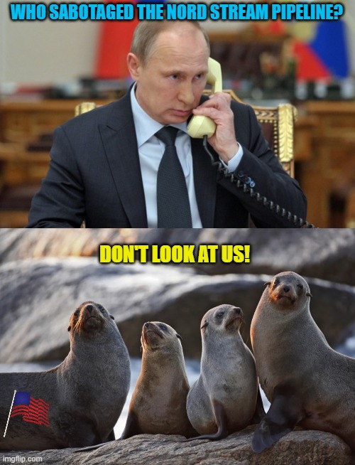 Who would do this? | WHO SABOTAGED THE NORD STREAM PIPELINE? DON'T LOOK AT US! | image tagged in putin phone,seals,pipeline,russia | made w/ Imgflip meme maker