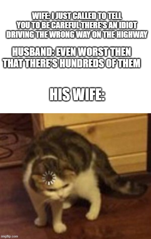 got this from a shorts |  WIFE: I JUST CALLED TO TELL YOU TO BE CAREFUL THERE'S AN IDIOT DRIVING THE WRONG WAY ON THE HIGHWAY; HUSBAND: EVEN WORST THEN THAT THERE'S HUNDREDS OF THEM; HIS WIFE: | image tagged in blank white template,loading cat,memes | made w/ Imgflip meme maker