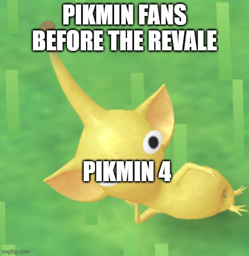Pikmin | PIKMIN FANS BEFORE THE REVALE; PIKMIN 4 | image tagged in pikmin | made w/ Imgflip meme maker