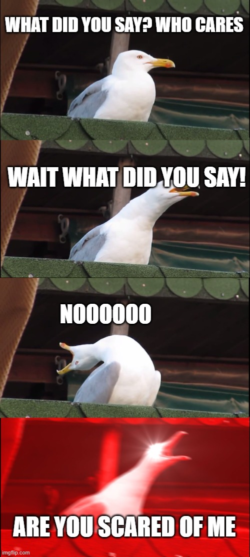 You said what! | WHAT DID YOU SAY? WHO CARES; WAIT WHAT DID YOU SAY! NOOOOOO; ARE YOU SCARED OF ME | image tagged in memes,inhaling seagull | made w/ Imgflip meme maker