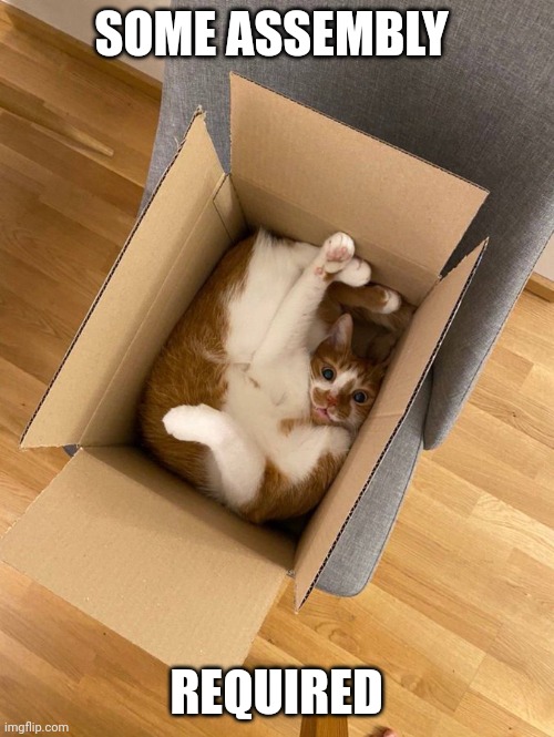 MY CAR IN A BOX CAME TODAY | SOME ASSEMBLY; REQUIRED | image tagged in cats,funny cats | made w/ Imgflip meme maker