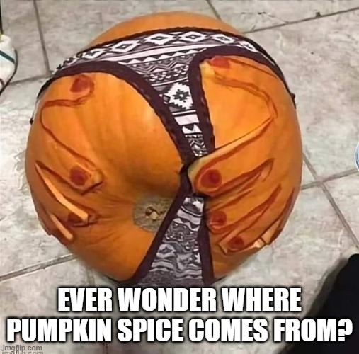 Pumpkin spice | EVER WONDER WHERE PUMPKIN SPICE COMES FROM? | image tagged in pumpkin spice | made w/ Imgflip meme maker
