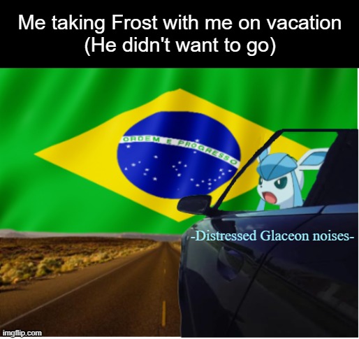 A nice vacation. | image tagged in pokemon,eevee,glaceon,you're going to brazil,brazil,you expected another tag but it was me dio | made w/ Imgflip meme maker