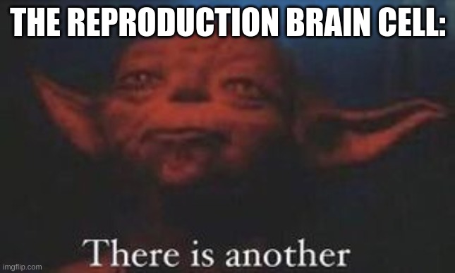 yoda there is another | THE REPRODUCTION BRAIN CELL: | image tagged in yoda there is another | made w/ Imgflip meme maker