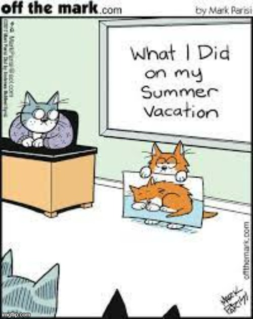 image tagged in memes,comics,cats,summer vacation,what i really do,sleep | made w/ Imgflip meme maker