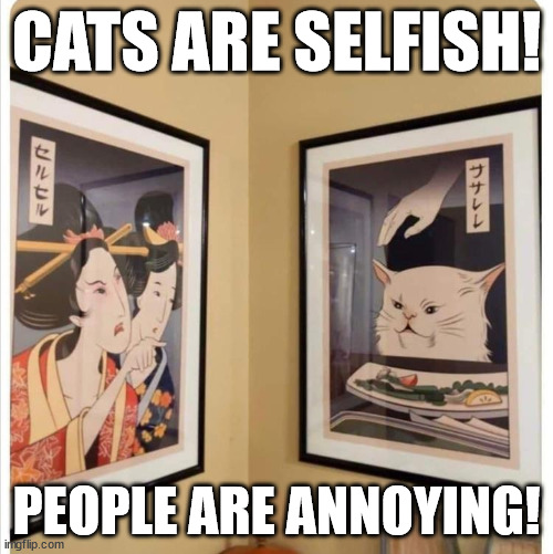 cats are selfish | CATS ARE SELFISH! PEOPLE ARE ANNOYING! | image tagged in cats,funny cats | made w/ Imgflip meme maker