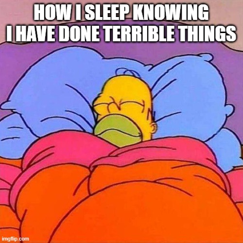 Homer Napping | HOW I SLEEP KNOWING I HAVE DONE TERRIBLE THINGS | image tagged in homer napping | made w/ Imgflip meme maker