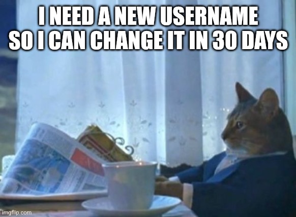 I Should Buy A Boat Cat | I NEED A NEW USERNAME SO I CAN CHANGE IT IN 30 DAYS | image tagged in memes,i should buy a boat cat | made w/ Imgflip meme maker