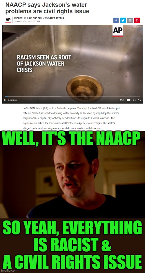 Water is racist. White people's homes don't have tainted water, right? | WELL, IT'S THE NAACP; SO YEAH, EVERYTHING IS RACIST & A CIVIL RIGHTS ISSUE | image tagged in jake from state farm,racist,civil rights,naacp | made w/ Imgflip meme maker
