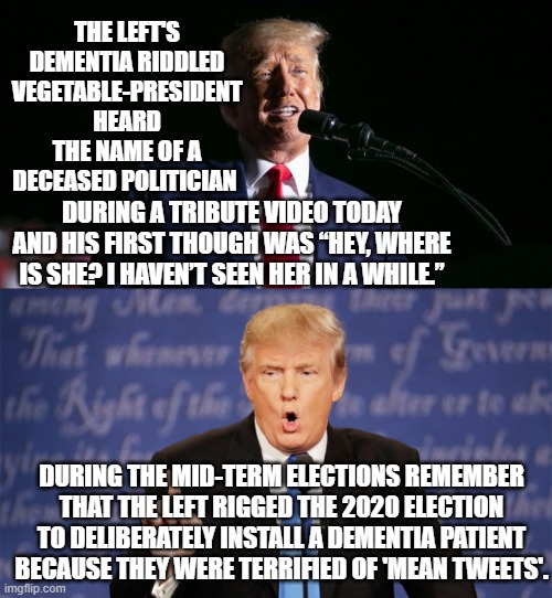 Harsh truths terrify leftists. | THE LEFT'S DEMENTIA RIDDLED VEGETABLE-PRESIDENT HEARD THE NAME OF A DECEASED POLITICIAN; DURING A TRIBUTE VIDEO TODAY AND HIS FIRST THOUGH WAS “HEY, WHERE IS SHE? I HAVEN’T SEEN HER IN A WHILE.”; DURING THE MID-TERM ELECTIONS REMEMBER THAT THE LEFT RIGGED THE 2020 ELECTION TO DELIBERATELY INSTALL A DEMENTIA PATIENT BECAUSE THEY WERE TERRIFIED OF 'MEAN TWEETS'. | image tagged in truth | made w/ Imgflip meme maker