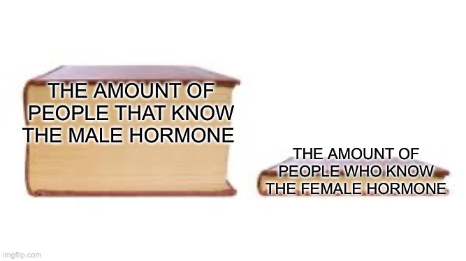 I think it is estrogen | THE AMOUNT OF PEOPLE THAT KNOW THE MALE HORMONE; THE AMOUNT OF PEOPLE WHO KNOW THE FEMALE HORMONE | image tagged in big book small book | made w/ Imgflip meme maker