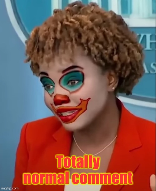 Clown Karine | Totally normal comment | image tagged in clown karine | made w/ Imgflip meme maker