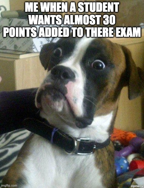 Funny Dog | ME WHEN A STUDENT WANTS ALMOST 30 POINTS ADDED TO THERE EXAM | image tagged in funny dog | made w/ Imgflip meme maker