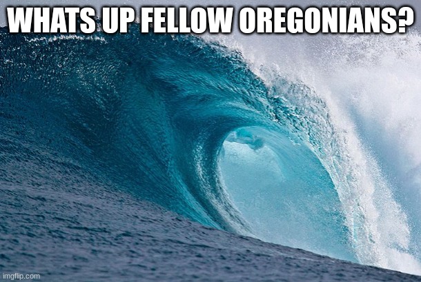 people who are oregonians talk to me | WHATS UP FELLOW OREGONIANS? | image tagged in hmmm | made w/ Imgflip meme maker