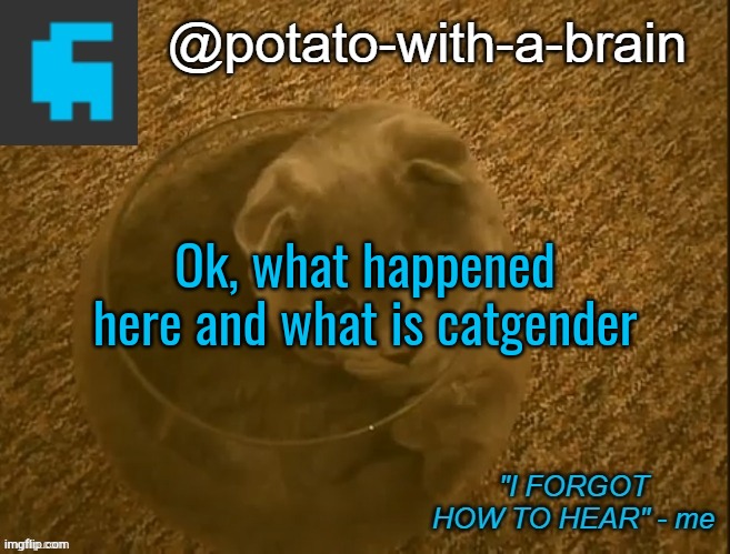 kinda ironic that the background is a cat in a fish bowl | Ok, what happened here and what is catgender | image tagged in potato-with-a-brain announcement template thx jade_harley | made w/ Imgflip meme maker