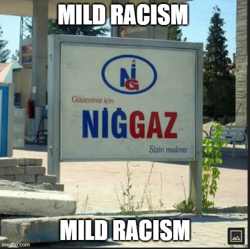 NİGGAZ | MILD RACISM MILD RACISM | image tagged in n ggaz | made w/ Imgflip meme maker