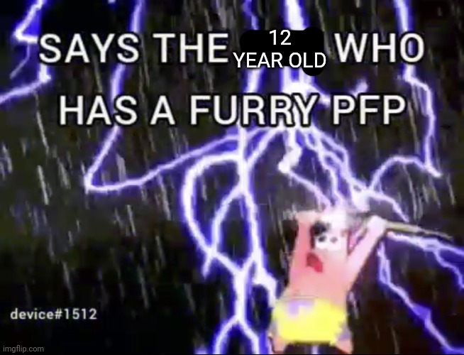 Says the guy who has a furry pfp | 12 YEAR OLD | image tagged in says the guy who has a furry pfp | made w/ Imgflip meme maker