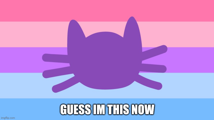 Catgender flag | GUESS IM THIS NOW | image tagged in catgender flag | made w/ Imgflip meme maker