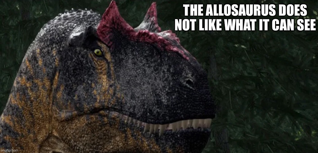 THE ALLOSAURUS DOES NOT LIKE WHAT IT CAN SEE | image tagged in dinosaur,funny,reaction | made w/ Imgflip meme maker