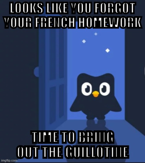 Uh oh not the french guillotine Mr. Duolingo |  LOOKS LIKE YOU FORGOT YOUR FRENCH HOMEWORK; TIME TO BRING OUT THE GUILLOTINE | image tagged in duolingo bird | made w/ Imgflip meme maker