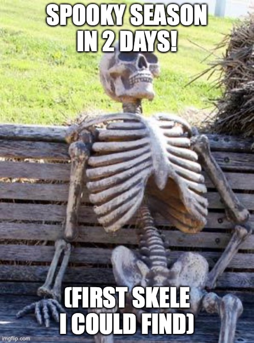 spooky season soon! | SPOOKY SEASON IN 2 DAYS! (FIRST SKELE I COULD FIND) | image tagged in memes,waiting skeleton | made w/ Imgflip meme maker