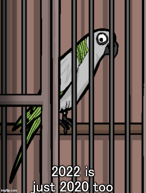 Bird on crack | 2022 is just 2020 too | image tagged in bird on crack | made w/ Imgflip meme maker