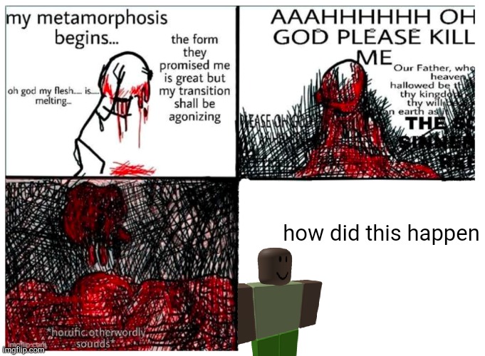 the metamorphosis | how did this happen | image tagged in the metamorphosis | made w/ Imgflip meme maker