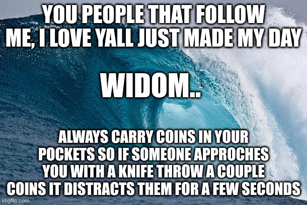 remember this | YOU PEOPLE THAT FOLLOW ME, I LOVE YALL JUST MADE MY DAY; WIDOM.. ALWAYS CARRY COINS IN YOUR POCKETS SO IF SOMEONE APPROCHES YOU WITH A KNIFE THROW A COUPLE COINS IT DISTRACTS THEM FOR A FEW SECONDS | image tagged in remember this | made w/ Imgflip meme maker