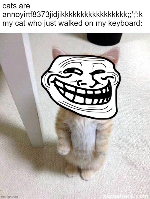 Cute Cat Meme | cats are annoyirtf8373jidjikkkkkkkkkkkkkkkkk;;';';k
my cat who just walked on my keyboard: | image tagged in memes,cute cat,bored keyboard cat,troll | made w/ Imgflip meme maker