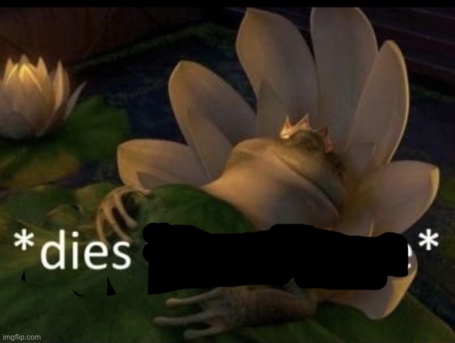 Dies from cringe | image tagged in dies from cringe | made w/ Imgflip meme maker