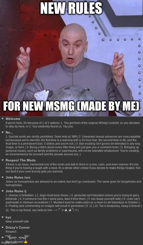 NEW RULES; FOR NEW MSMG (MADE BY ME) | image tagged in memes,dr evil laser | made w/ Imgflip meme maker