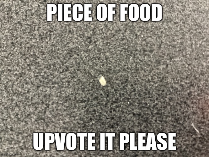 PIECE OF FOOD; UPVOTE IT PLEASE | image tagged in food | made w/ Imgflip meme maker