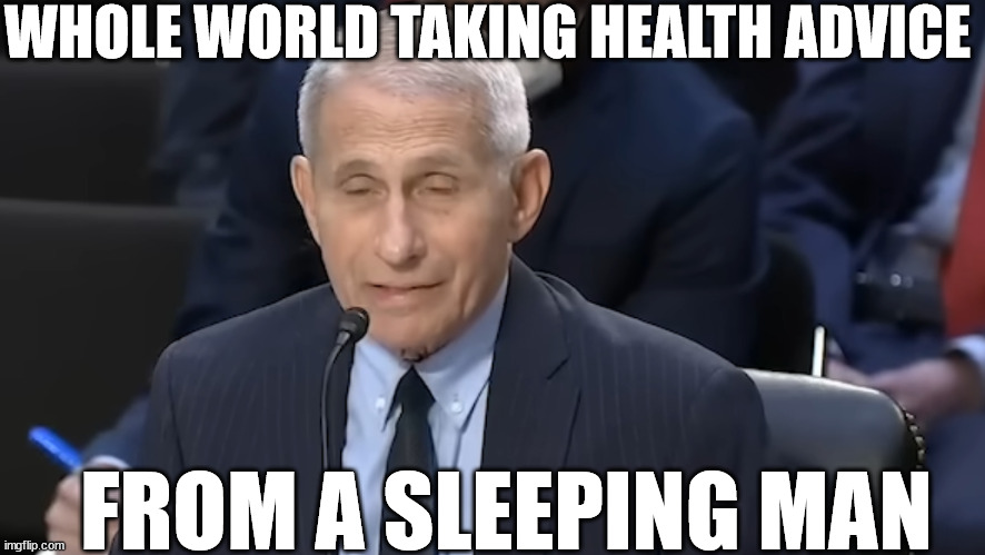 Who  the{ ___ }Sleeps  during  a  Senate   Hearing ? |  WHOLE WORLD TAKING HEALTH ADVICE; FROM A SLEEPING MAN | image tagged in anthony faucci,dr faucci,health advice,asleep | made w/ Imgflip meme maker