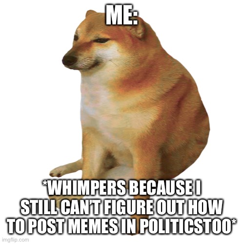 cheems | ME: *WHIMPERS BECAUSE I STILL CAN’T FIGURE OUT HOW TO POST MEMES IN POLITICSTOO* | image tagged in cheems | made w/ Imgflip meme maker