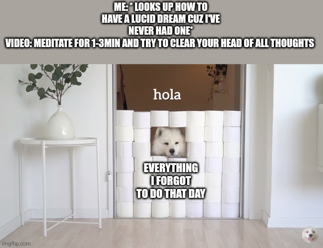 I'm pretty sure I've never had one because of stress | ME: * LOOKS UP HOW TO HAVE A LUCID DREAM CUZ I'VE NEVER HAD ONE*
VIDEO: MEDITATE FOR 1-3MIN AND TRY TO CLEAR YOUR HEAD OF ALL THOUGHTS; EVERYTHING I FORGOT TO DO THAT DAY | image tagged in hola | made w/ Imgflip meme maker