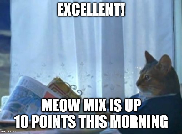 I Should Buy A Boat Cat | EXCELLENT! MEOW MIX IS UP 10 POINTS THIS MORNING | image tagged in memes,i should buy a boat cat | made w/ Imgflip meme maker