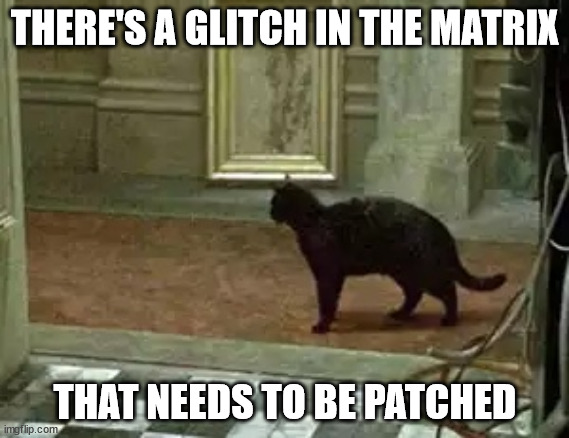 The cipher can't be trusted right now | THERE'S A GLITCH IN THE MATRIX; THAT NEEDS TO BE PATCHED | image tagged in matrix cat | made w/ Imgflip meme maker