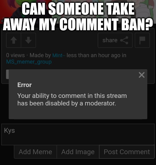 CAN SOMEONE TAKE AWAY MY COMMENT BAN? | made w/ Imgflip meme maker