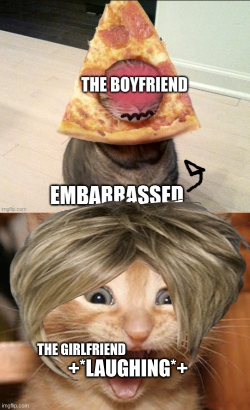 lol | THE GIRLFRIEND; +*LAUGHING*+ | image tagged in memes,excited cat | made w/ Imgflip meme maker