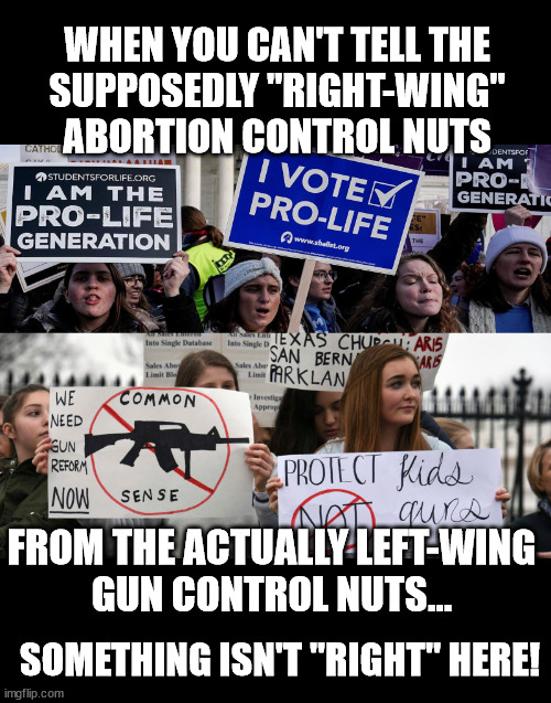 One of these things is just like the other... | WHEN YOU CAN'T TELL THE
SUPPOSEDLY "RIGHT-WING"
ABORTION CONTROL NUTS; FROM THE ACTUALLY LEFT-WING
GUN CONTROL NUTS... SOMETHING ISN'T "RIGHT" HERE! | image tagged in abortion control is like gun control | made w/ Imgflip meme maker