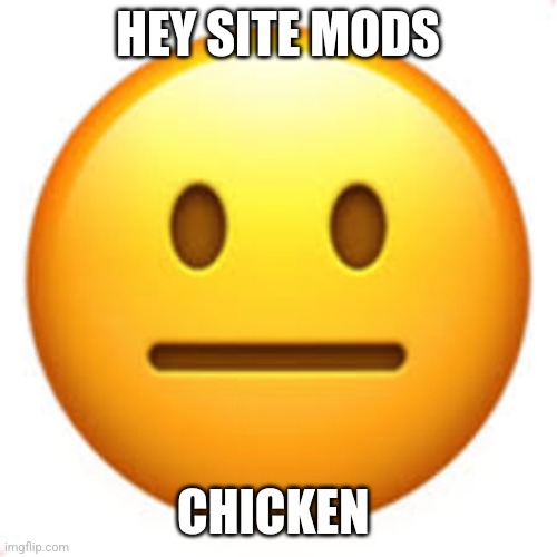 Not funny | HEY SITE MODS; CHICKEN | image tagged in not funny | made w/ Imgflip meme maker