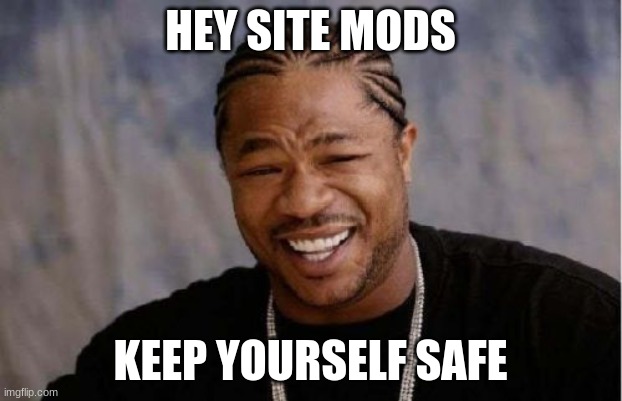 (KSDawg: BANNED!!!!!!!!!!!!!) | HEY SITE MODS; KEEP YOURSELF SAFE | image tagged in memes,yo dawg heard you | made w/ Imgflip meme maker