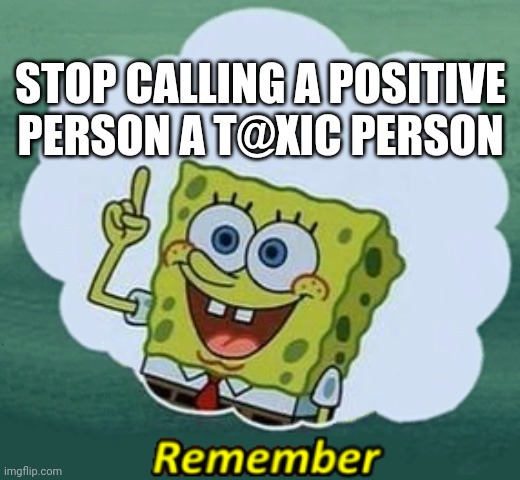 Remember | STOP CALLING A POSITIVE PERSON A T@XIC PERSON | image tagged in remember | made w/ Imgflip meme maker