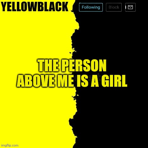 Yellowblack announcement template | THE PERSON ABOVE ME IS A GIRL | image tagged in yellowblack announcement template | made w/ Imgflip meme maker