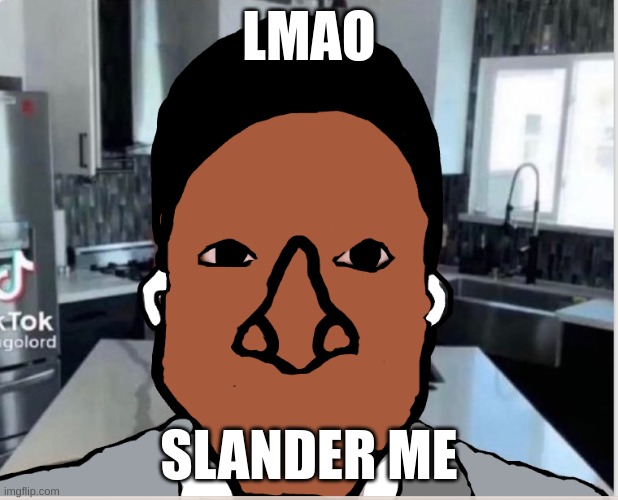 n | LMAO; SLANDER ME | image tagged in n | made w/ Imgflip meme maker