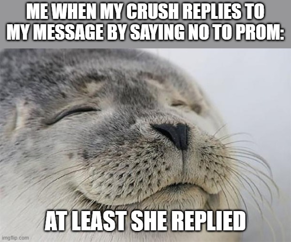Satisfied Seal Meme | ME WHEN MY CRUSH REPLIES TO MY MESSAGE BY SAYING NO TO PROM: AT LEAST SHE REPLIED | image tagged in memes,satisfied seal | made w/ Imgflip meme maker