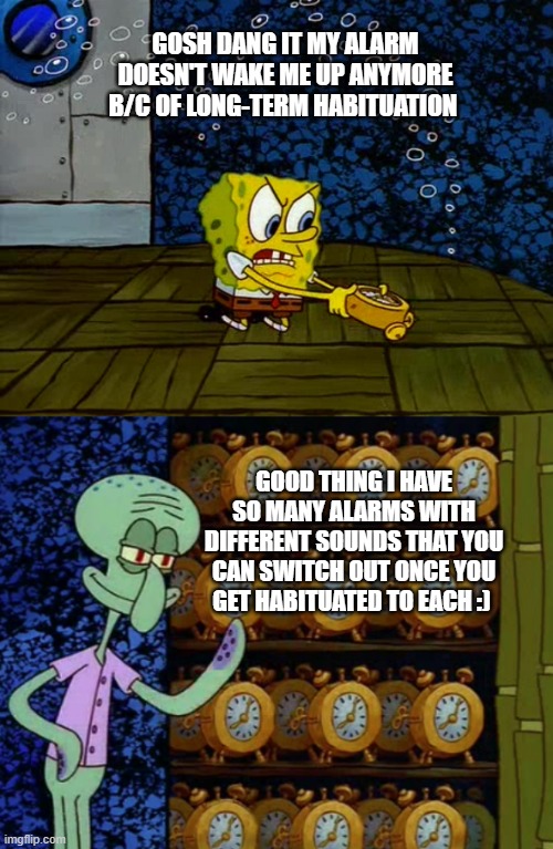 Spongebob vs Squidward Alarm Clocks | GOSH DANG IT MY ALARM DOESN'T WAKE ME UP ANYMORE B/C OF LONG-TERM HABITUATION; GOOD THING I HAVE SO MANY ALARMS WITH DIFFERENT SOUNDS THAT YOU CAN SWITCH OUT ONCE YOU GET HABITUATED TO EACH :) | image tagged in spongebob vs squidward alarm clocks | made w/ Imgflip meme maker